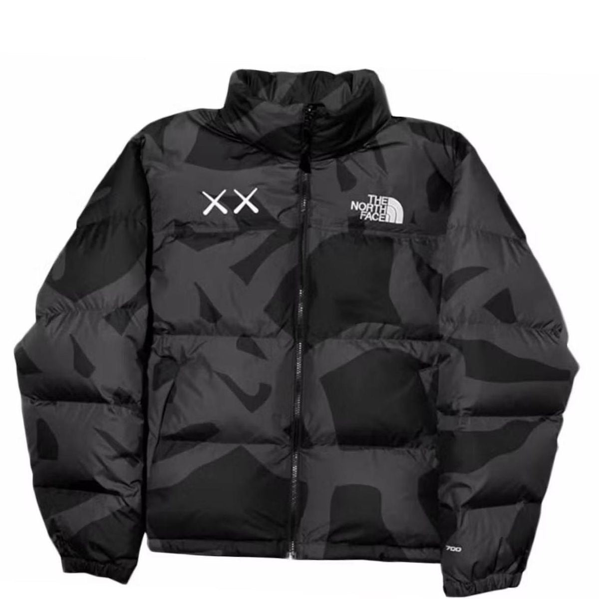 North Face Jacket (Copia)