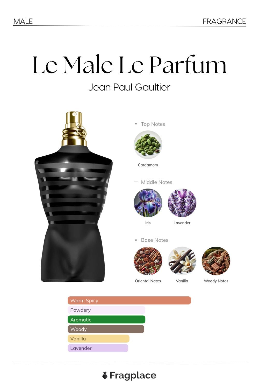 Jean Paul Gaultier Le Male (copia)